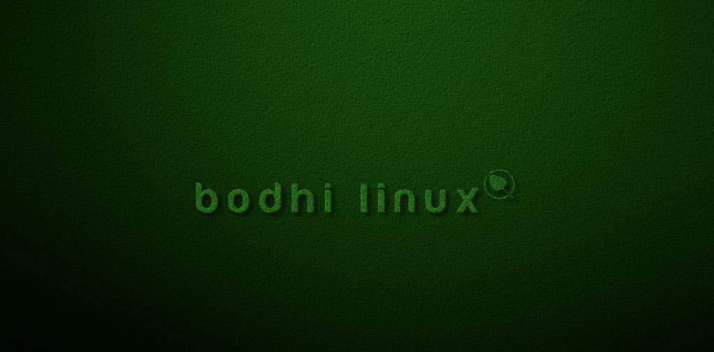 Bodhi Linux 6.0 installation guide